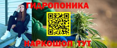mdma Новозыбков