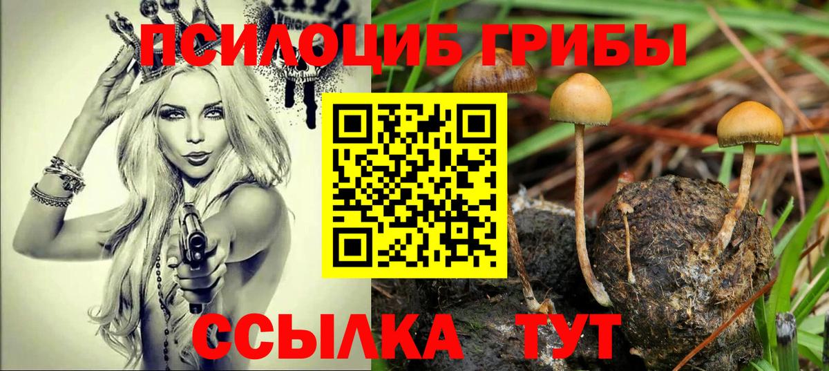 Туймазы  Галлюциногенные грибы Cubensis  Вход с VPN 